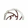 Alligator Bremsscheibe 6-Loch Disc Red/Silv/Blk Neu