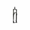 Rock-shox ROCK SHOX Lyrik Ultimate Federgabel 29er Boost 150mm BLK Neu